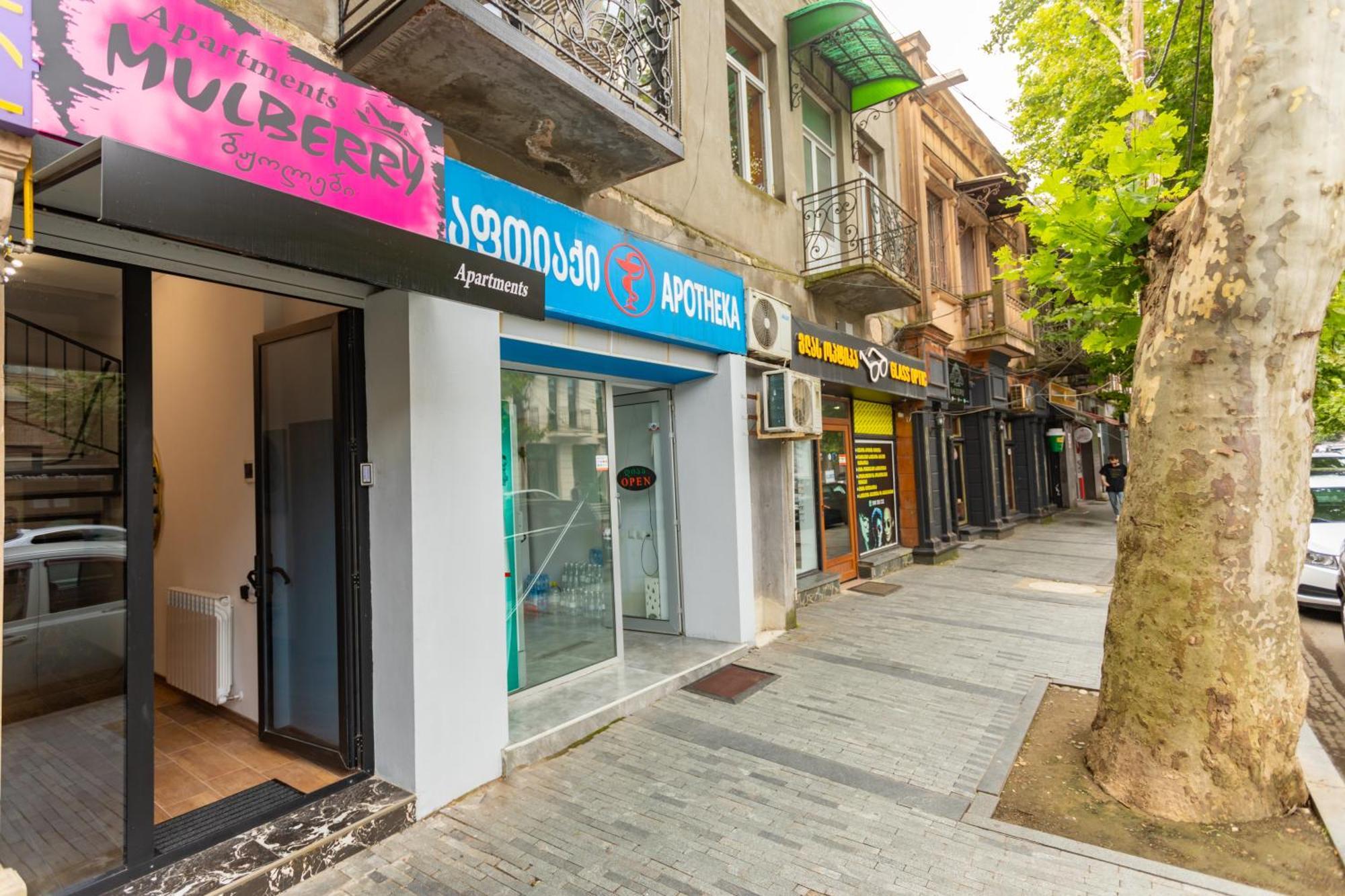 Appartamento Mulberry Ბჟოლები Kutaisi Esterno foto